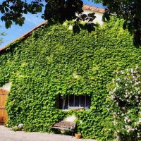 Maison à vendre en France - Garage Wein gro.jpg